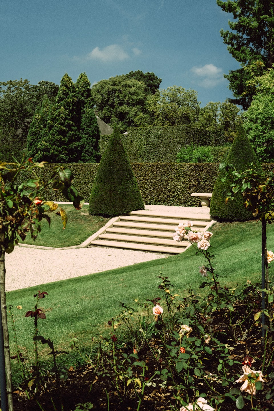 Gartenpflege Ostfriesland Friesland Sande Wittmund  Wilhelmshaven Jever   Aurich Emden